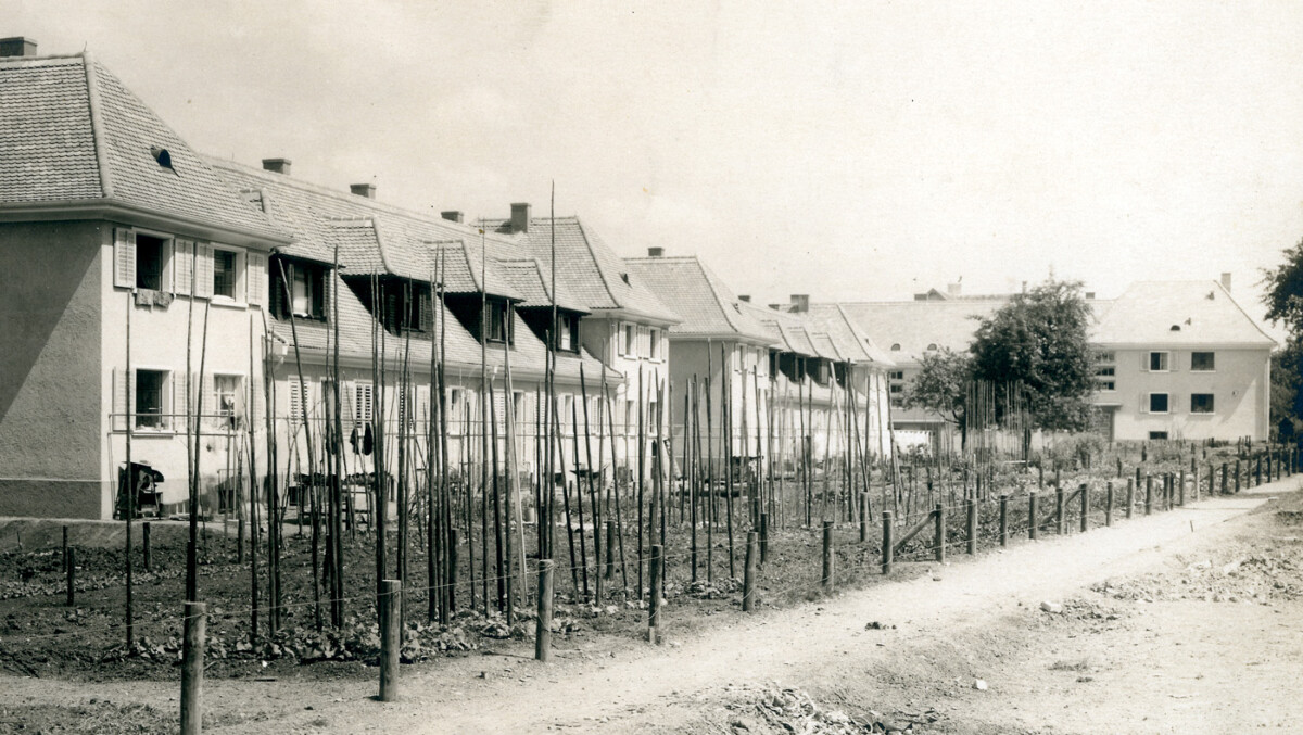 Wohnkolonie im Friesenberg: Bau von 52 Einfamilienhäuser und 32 Wohnungen im Jahre 1927