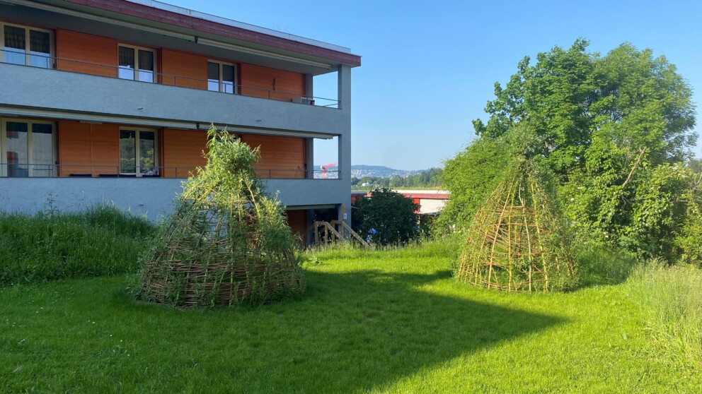 Weidenhäuser in der Siedlung Leimbach im Sommer