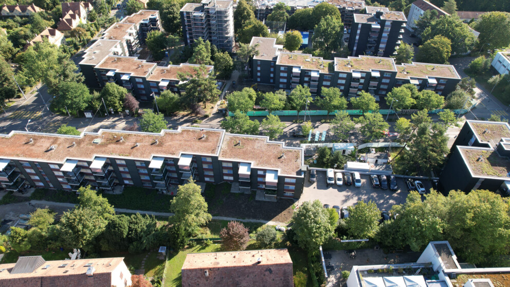 Luftaufnahme mehrerer mehrstöckiger Wohnhäuser mit begrünten Dächern, umgeben von Bäumen und Wohnstraßen.